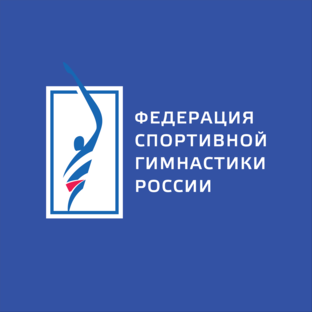 Статистика Дзен Спортивная гимнастика России