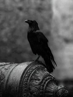 Статистика Дзен Венер Задыбаев 