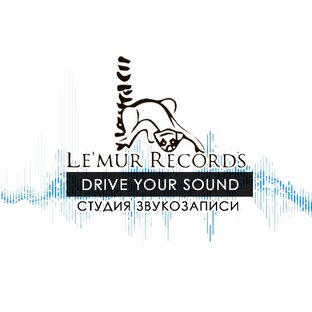Статистика Дзен Lemur Records