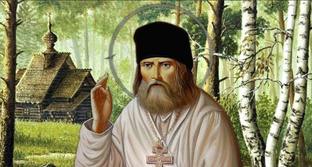 Дзен Зоя Петрова  статистика