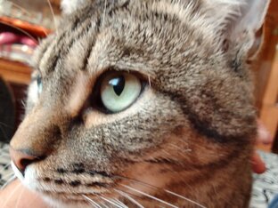 Дзен С Миру По Нитке!!! статистика