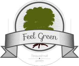 Статистика Дзен Feel Green
