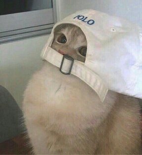 Дзен SAFA статистика