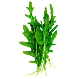 Дзен Руккола 🌿 статистика