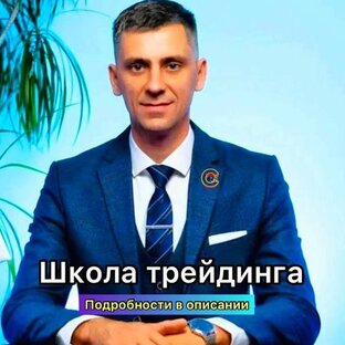 Статистика Дзен CRYPTOMATIKA