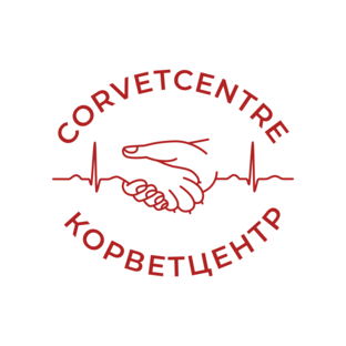 Статистика Дзен КорВетЦентр