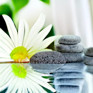 Статистика Дзен Wellness