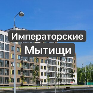 Дзен ЖК Императорские Мытищи статистика