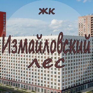 Дзен ЖК Измайловский лес статистика