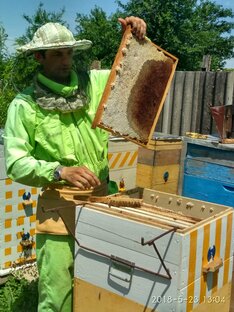 Владимир Весёлый Пасечник 😄🐝