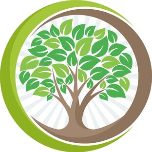 Дзен Название канала статистика