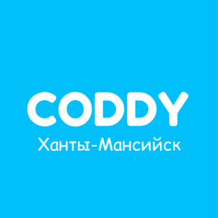 Статистика Дзен CODDY Ханты-Мансийск