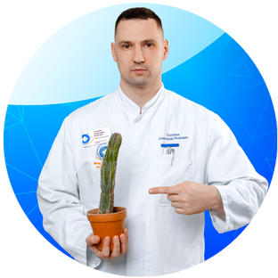 Статистика Дзен Свой проктолог – без гемора!