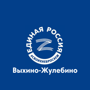 Статистика Дзен ЕР Выхино-Жулебино