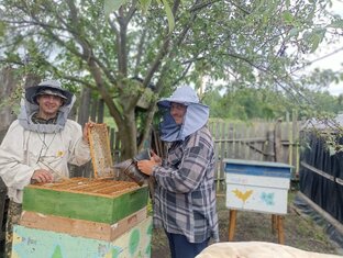 Статистика Дзен Пчеловодство Красноярья