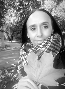 Статистика Дзен Ана Белх