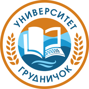 Статистика Дзен Университет ГрудничОк