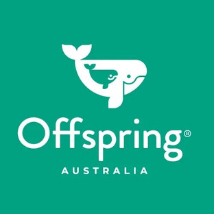 Статистика Дзен Offspring.rus