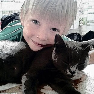 Дзен Алекс ТВ, мои друзья и приключения. статистика