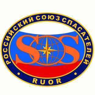 Статистика Дзен Общероссийская общественная организация "Российский союз спасателей"