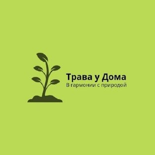 Статистика Дзен Трава у Дома