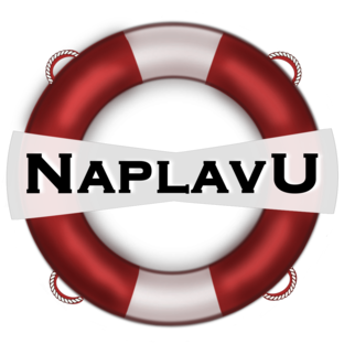 Статистика Дзен NaplavU