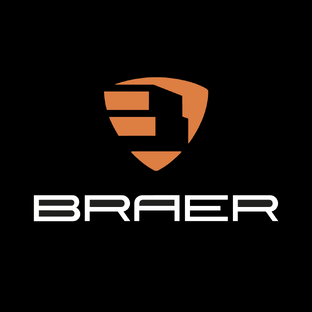 Статистика Дзен BRAER