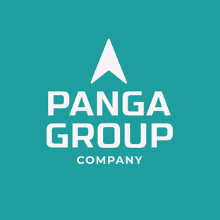 Статистика Дзен PANGA GROUP