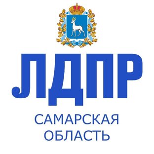 Статистика Дзен ЛДПР Самарская область