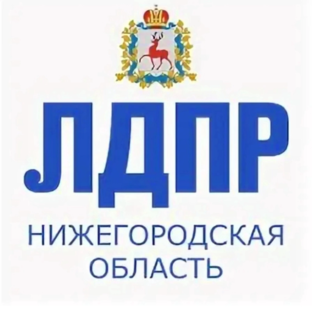 Статистика Дзен ЛДПР Нижегородская область