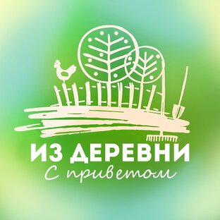 Статистика Дзен Из деревни с приветом! 