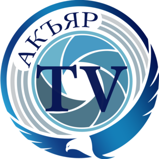 Статистика Дзен Акъяр ТВ
