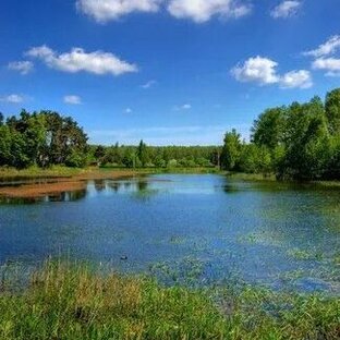 Дзен На позитиве.  статистика