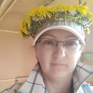 Статистика Дзен Ольга и Павел - Дача в поле