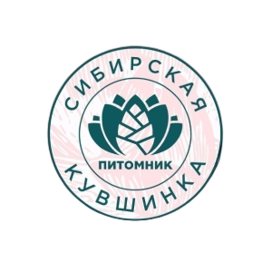 Статистика Дзен Сибирская Кувшинка