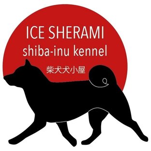 Статистика Дзен ICE SHERAMI
