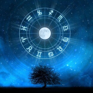 Дзен Кулакова Антонина: Ежедневный Гороскоп статистика