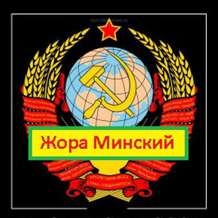 Статистика Дзен Радиопосиделки с Жорой Минским .