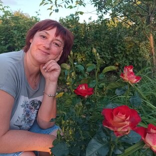 Статистика Дзен О'Ксюня🥰❤️