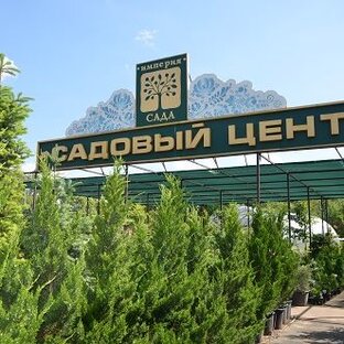 Статистика Дзен Империя сада