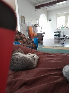 Динил онлайн 