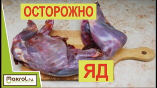 Семинары