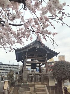 Япония - Japan