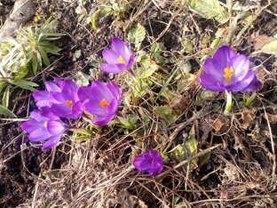 Интересное