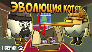 Эволюция Котят