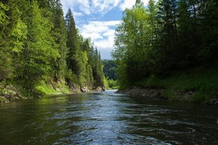 Баргузин, Уро воспоминания из детства.