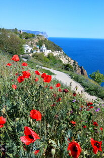 Фотографическое.