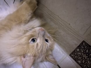 Давайте поговорим