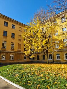 Хронология