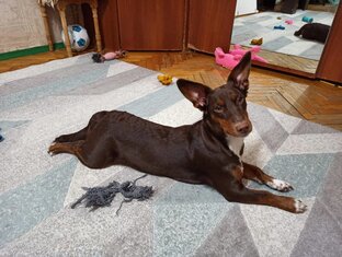 Статьи, которые были в подборке "в поиске дома"